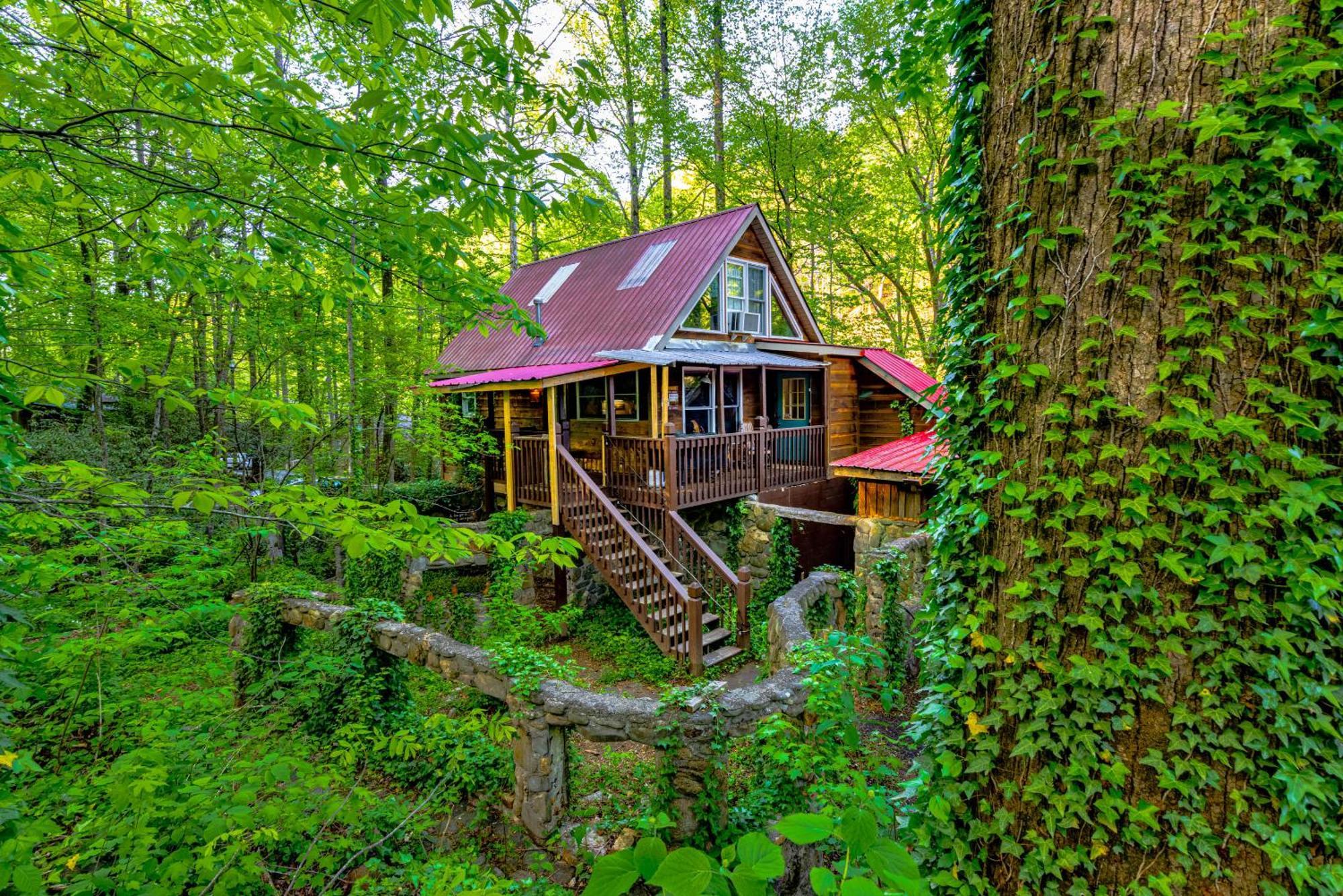 Bear Creek Lodge And Cabins In Helen Ga - Pet Friendly, River On Property, Walking Distance To Downtown Helen Exteriör bild